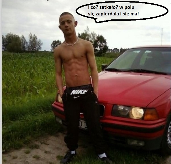 0_0_1103811613_typowy_polski_rasowy_bura