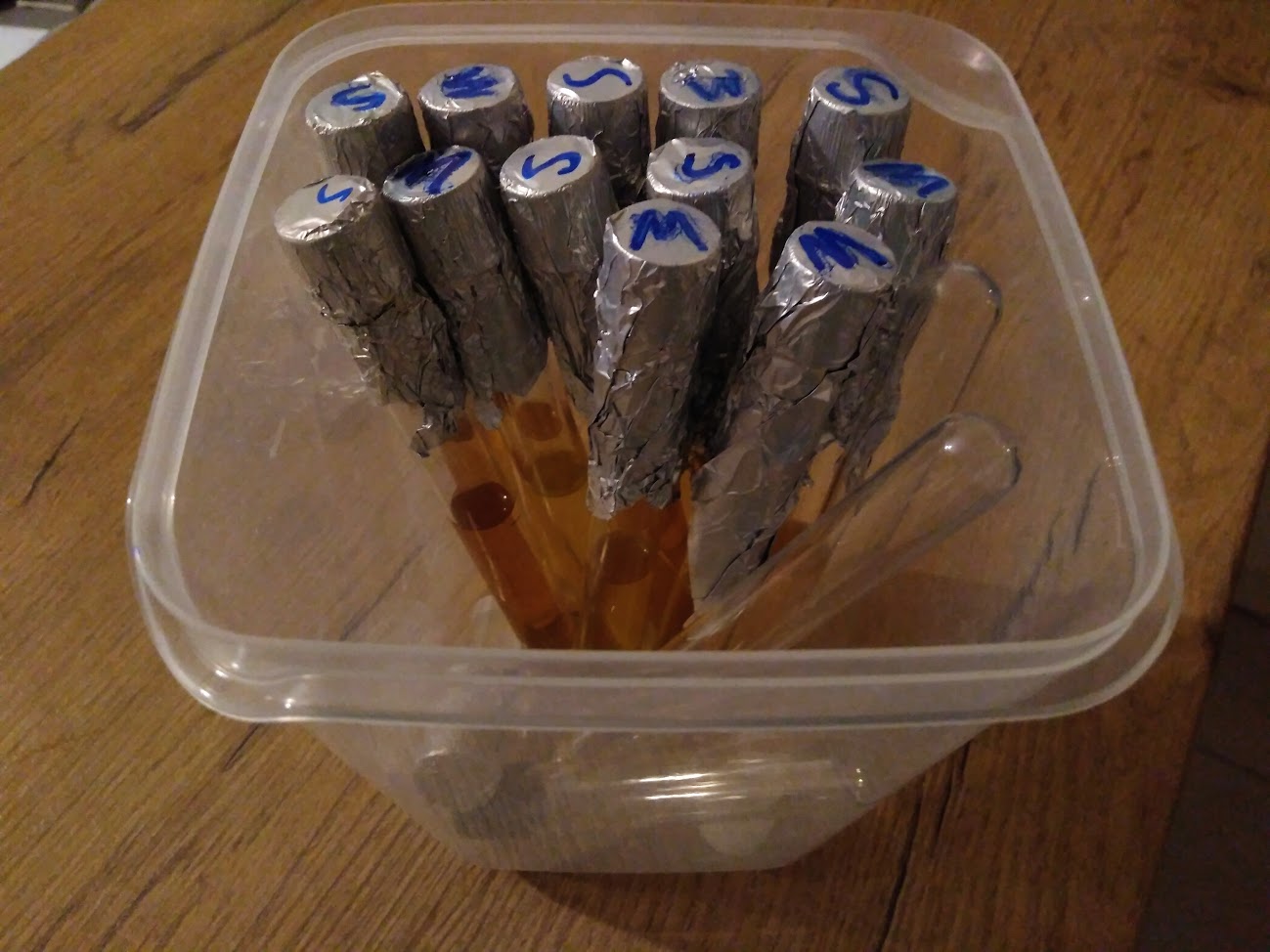 M38n1Pe_UBKKIZhbKT7GRjCDhua41bpwG17eKd68