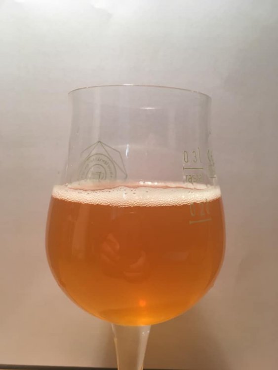 75478517_2538993892832800_39083460352100