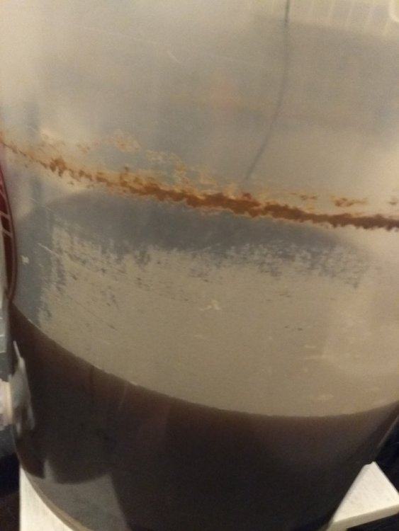 40507103_313401259423796_4382104683422941184_n.jpg?_nc_cat=111&_nc_ht=scontent.fktw1-1.fna&oh=db8d8f037997feadbd27bb72391e6bc9&oe=5C41A6F4