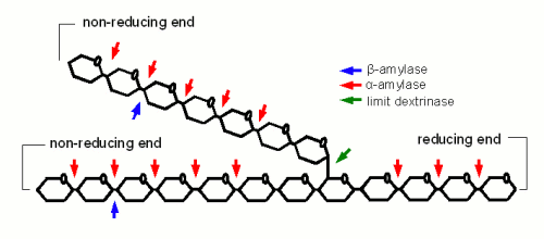 FkzzNl4B2-yf9QtLcSJPiMirr_V71Dmp_myfLneFzVA2ZIcJK-snjINu-0S_4IIehPEO5xTP3odN081C_SaE6FnSIPtKXdytuEIqqtZP6OTmqUKSolnpQ0MM5AXzh1IrAWfIXLlg