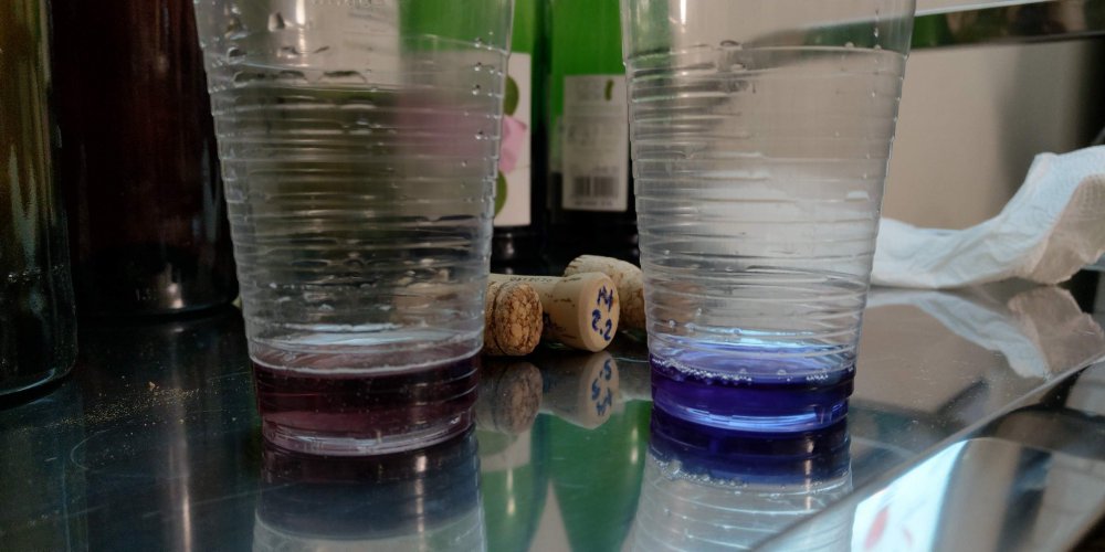 54436358_2171776302902214_76413814353617