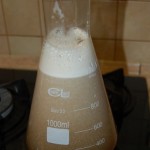 ekstrakt uzupelnianie