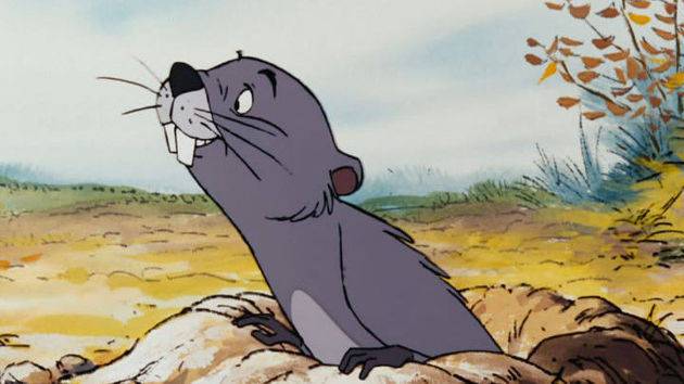 swistak-gofer.jpeg?w=1086