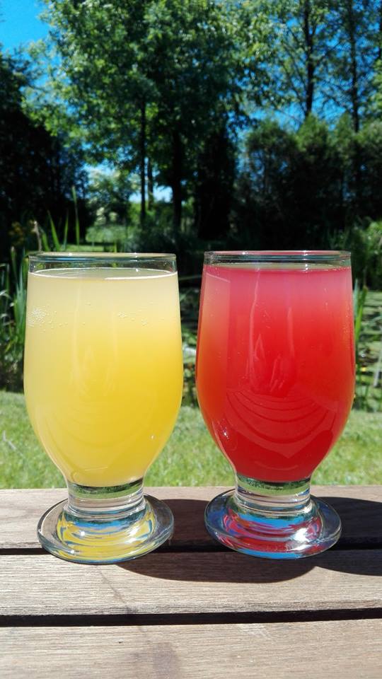 18892905_10207276375062616_8265679182873