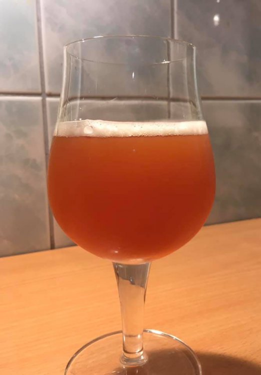 75371547_2538819196183603_27757730720393